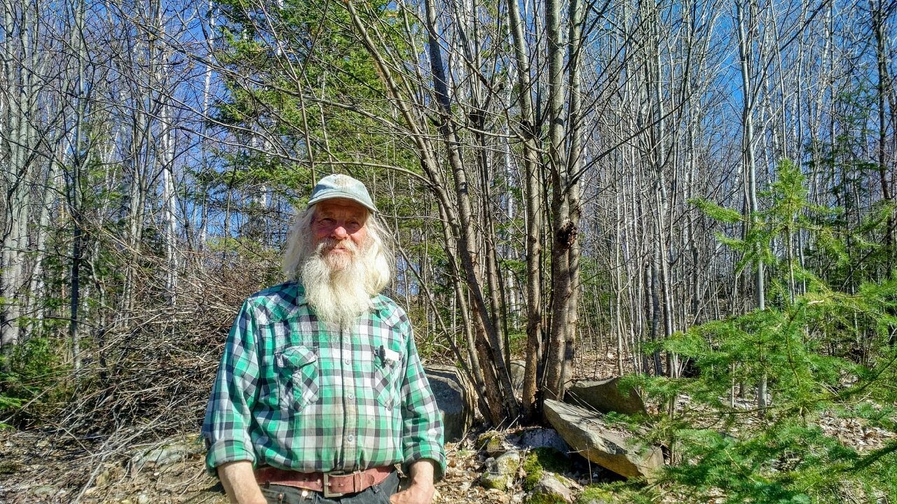 Healing Trees Forest School Episode 2 - Wild Black Cherry