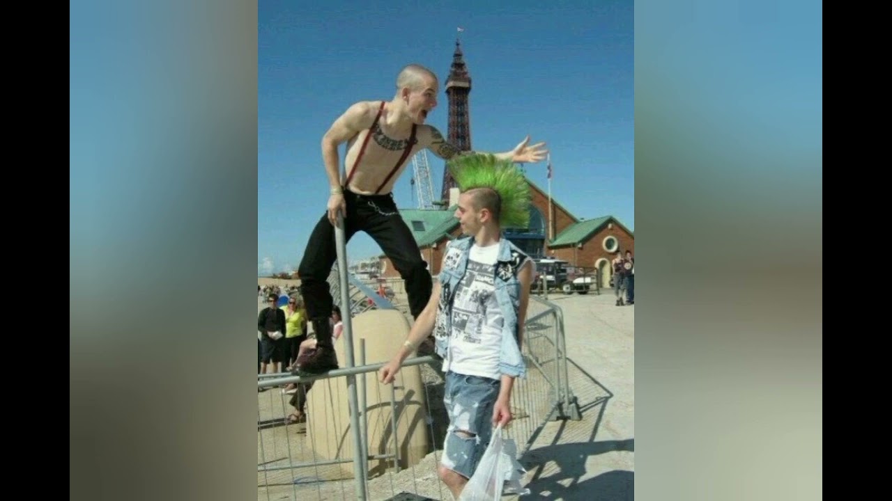 PUNK NOT DEAD COMMUNITY 