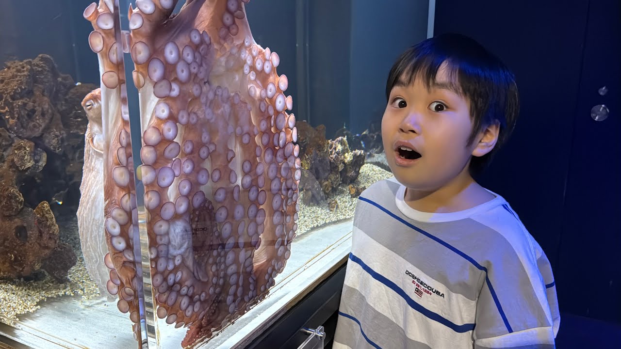 レオくんがおでかけしてみた！DMM かりゆし水族館！ Part67 レオスマイル