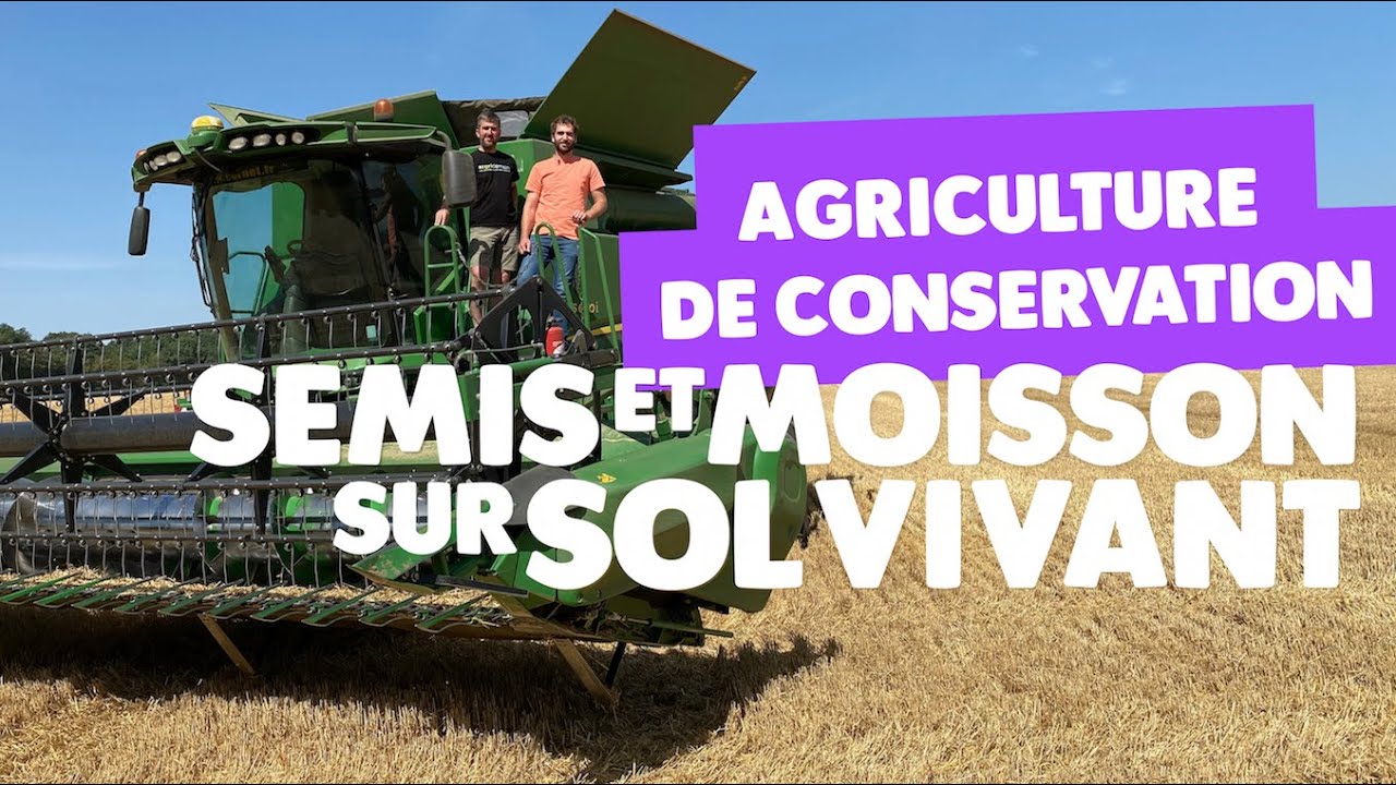 Agriculture de conservation : moisson sur sols vivants