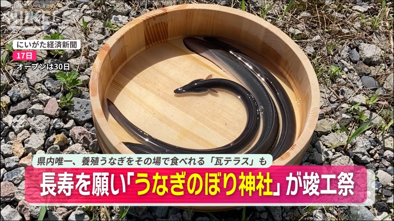 【うなぎのぼり神社】新潟県阿賀野市の「瓦テラス」に神社が建立され、竣工祭が執り行われる【養殖うなぎをその場で食べれる「瓦テラス」】