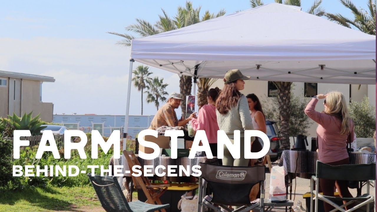 Behind the Scenes at Our Farm Stand (How It Actually Works)