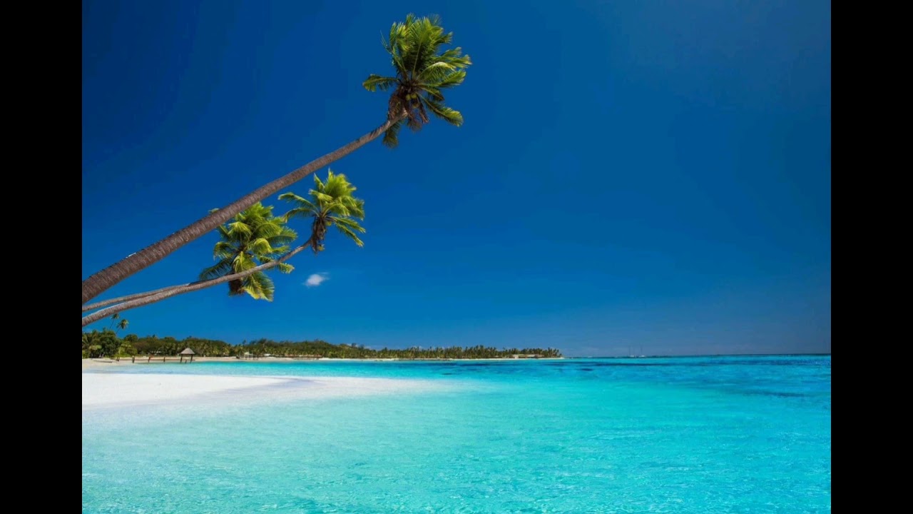 SII NOFO FAKA AMU [AFAMAUMAU]