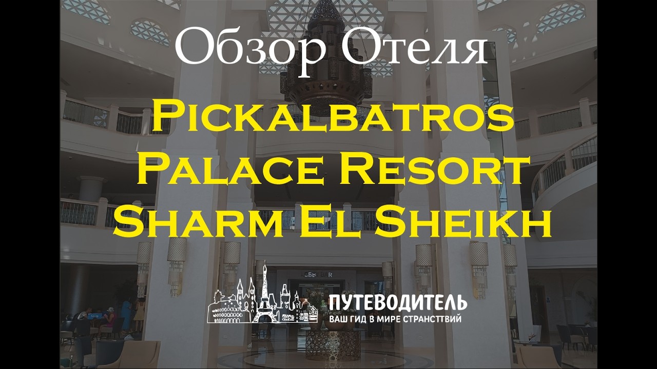 Pickalbatros Palace Resort Sharm El Sheikh — обзор территории, бассейн, пляж номер Standard Sea View