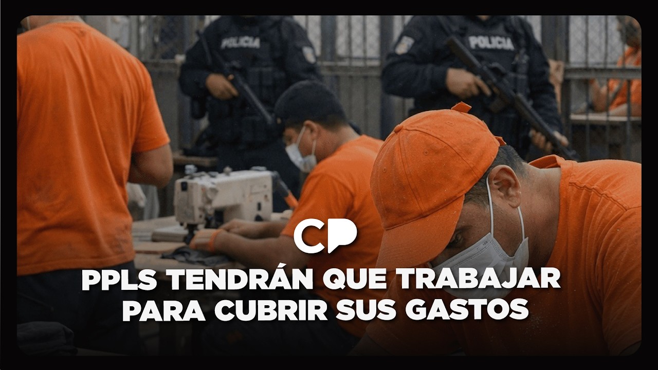 PPLs tendrán que trabajar para cubrir sus gastos