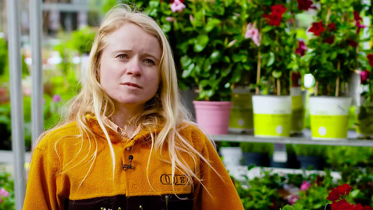 Gartentipp: Jetzt f&uuml;r den Sommer pflanzen