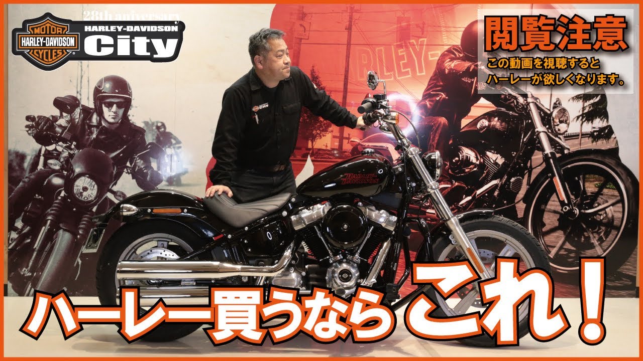 【ハーレー買うならこれ！】完成度高し、シンプルの極みソフテイルスタンダード！【一押し車両】