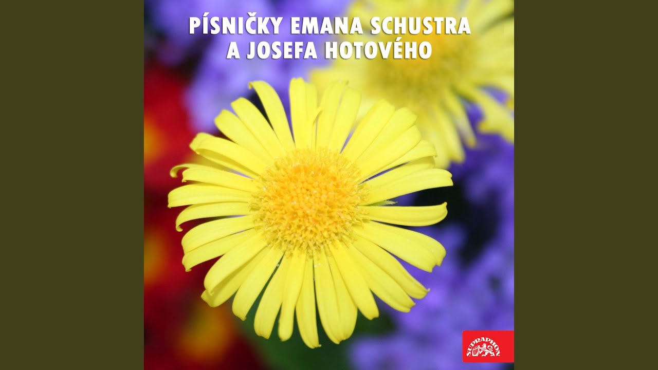 Písničky Emana Schustera