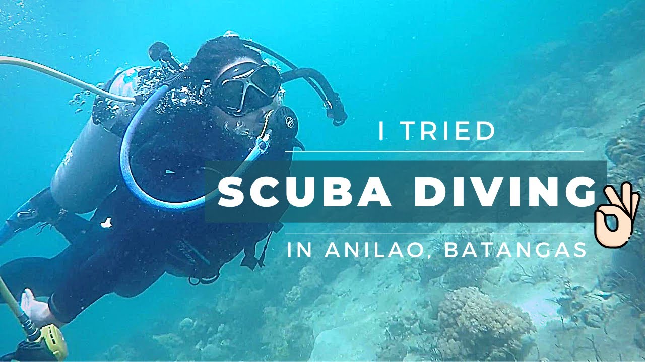 Scuba Diving for Beginners | Anilao, Batangas