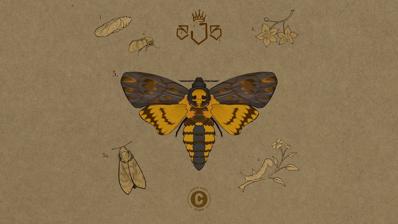 BJB x Koncepto - Polillas