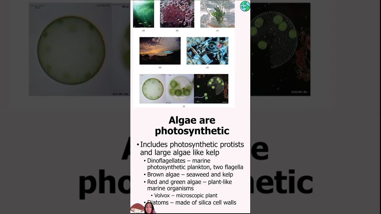 Eukaryotic Microbes   Fungi, Algae, Lichens Mobile Friendly