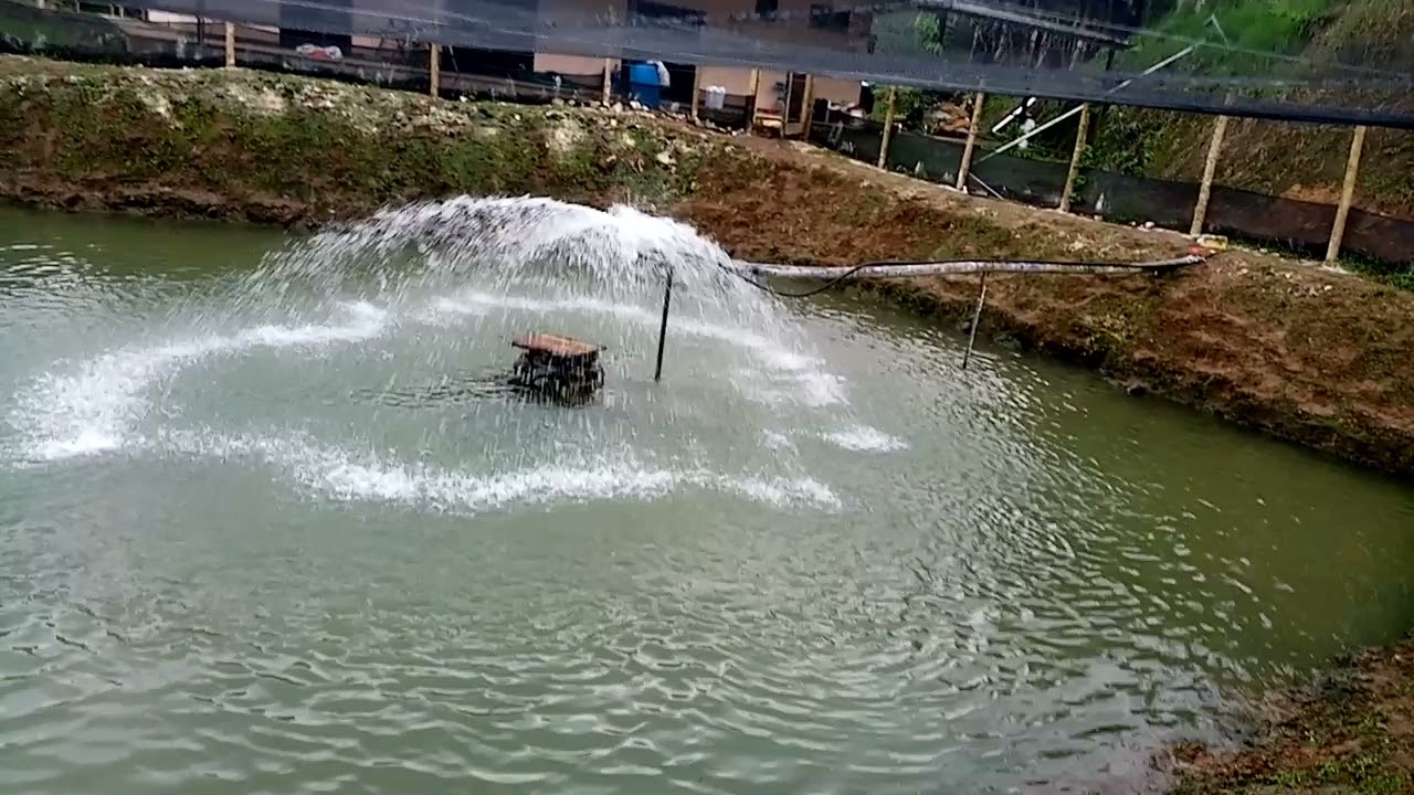 Oxigenación del agua sin necesidad de energía eléctrica.