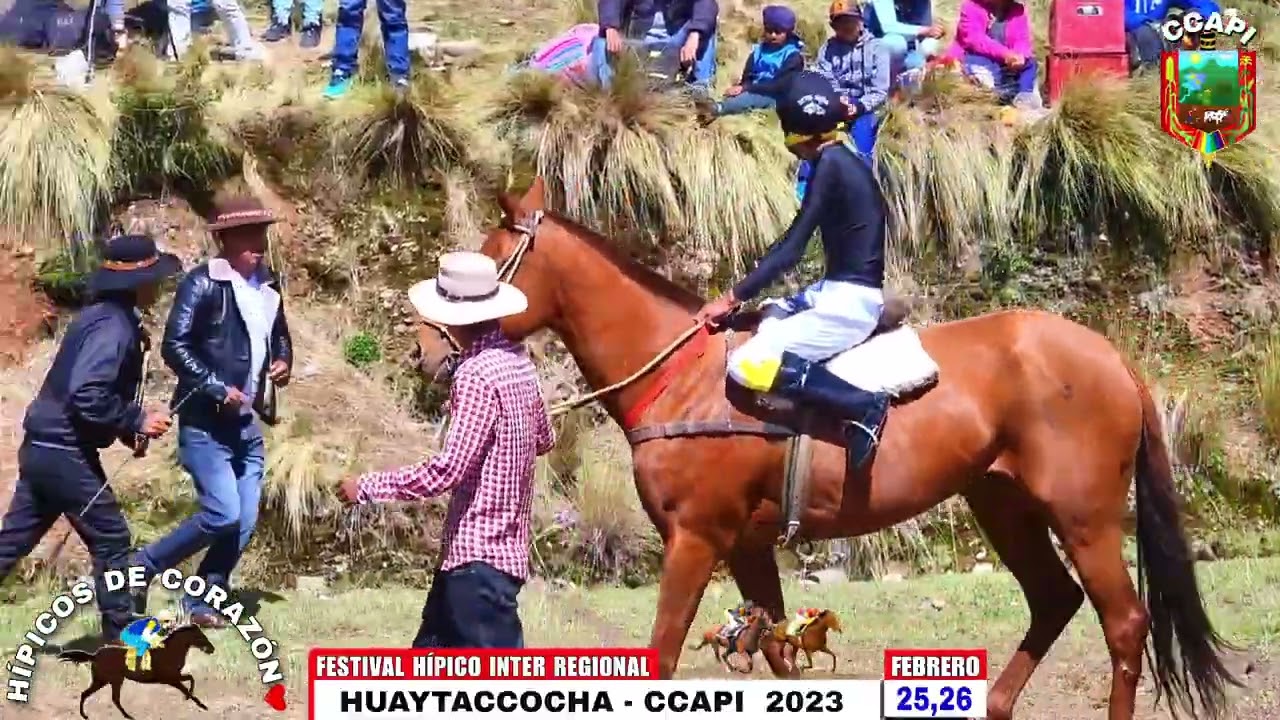 FESTIVAL HÍPICO INTER REGIONAL HUAYTACCOCHA CCAPI 2023