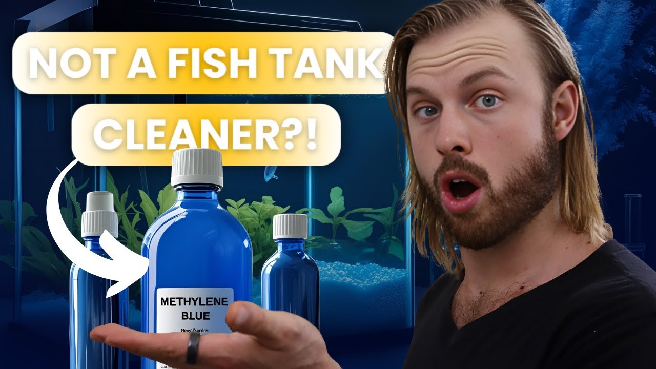 What 1 Drop of Methylene Blue Does to Your Brain (Fast Results in 24 Hours)