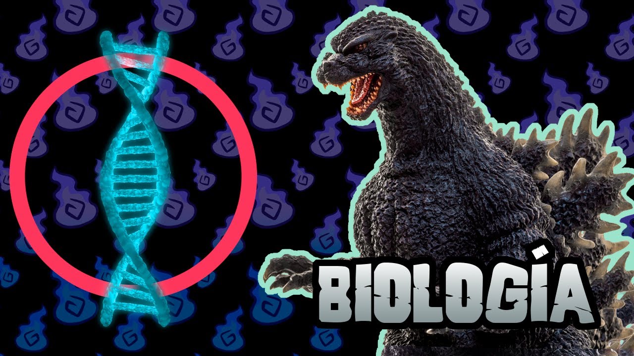 GODZILLA CIENTÍFICAMENTE CORRECTO