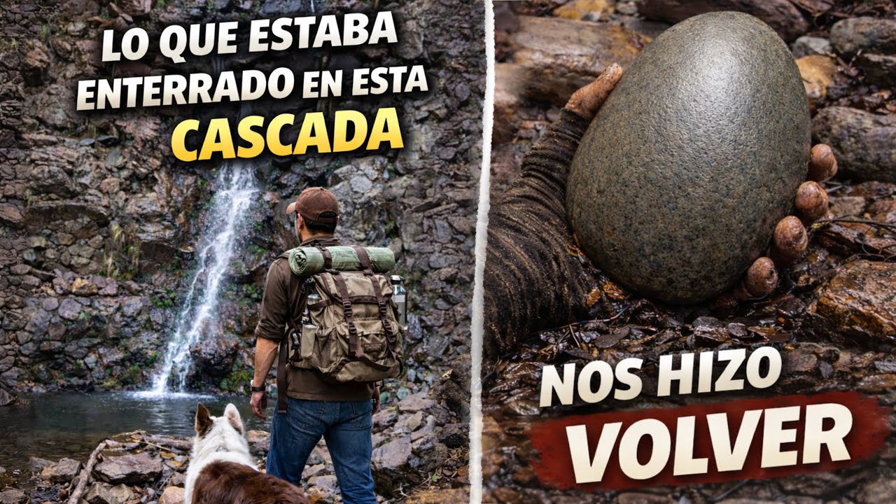El Huevo De Dinosaurio