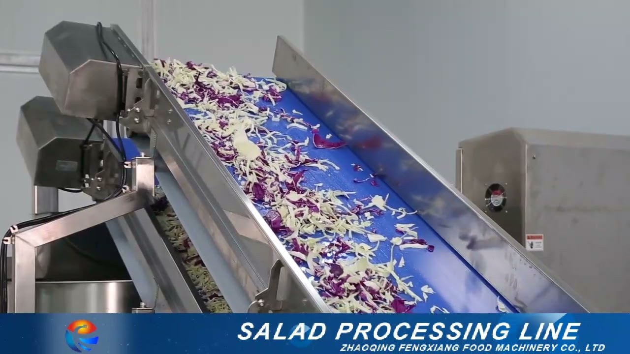 #Salad Processing Line, salad cutting washing machinery.