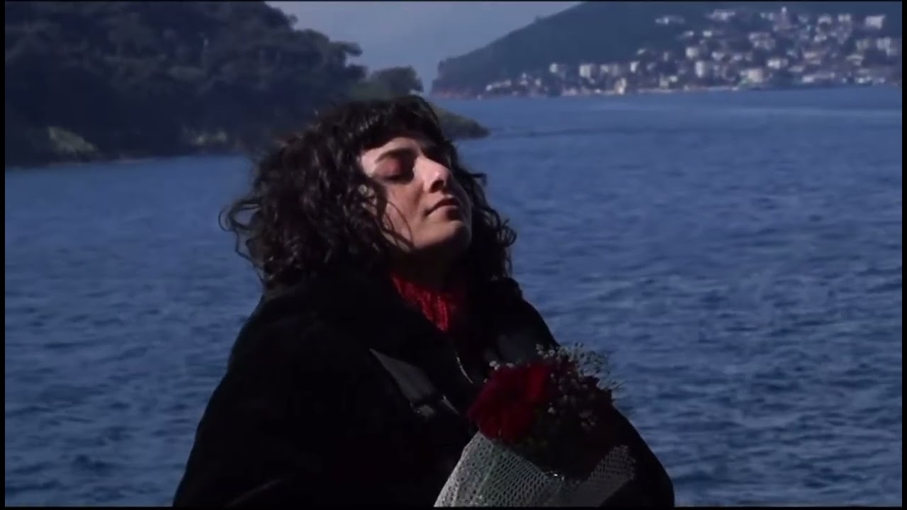 Huseyin altan & Basak seber ( SEVDADAN )