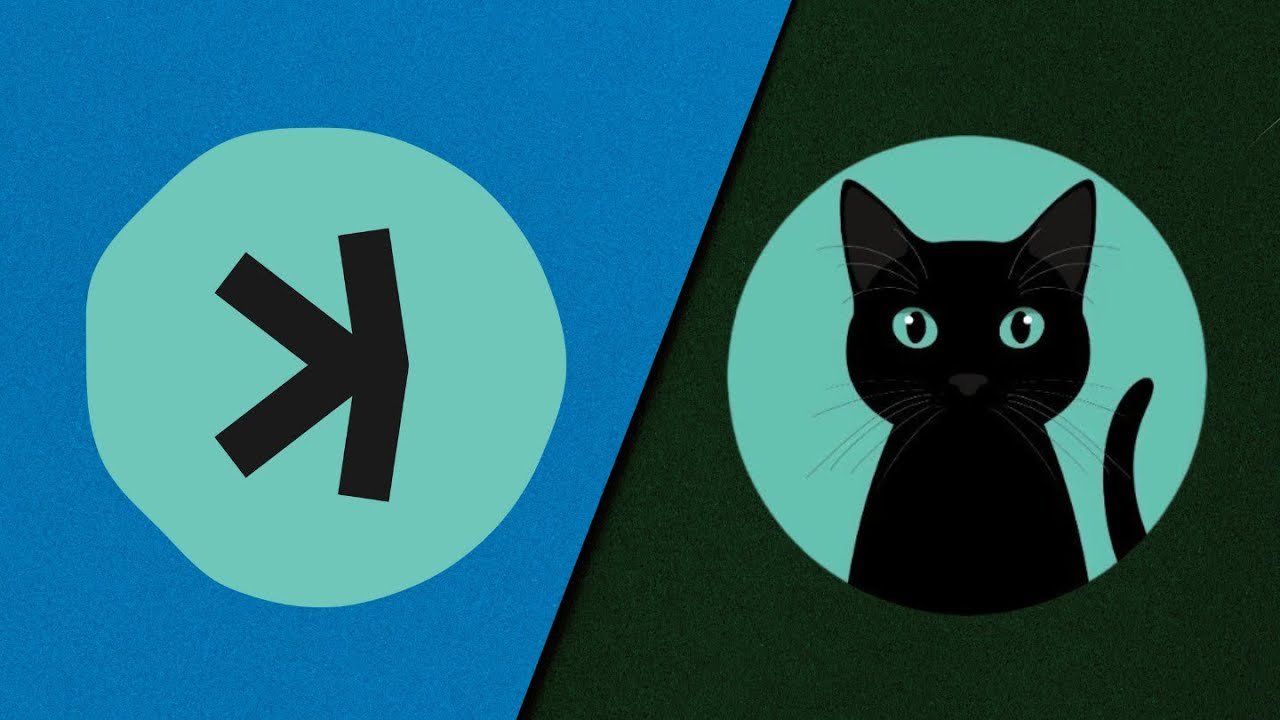 Kaspa: Nacho the Cat