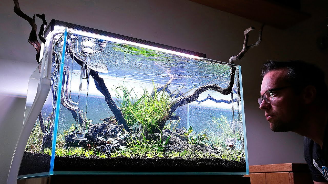 How to set up a Nature Aquarium - Steven's Aquascaper 600