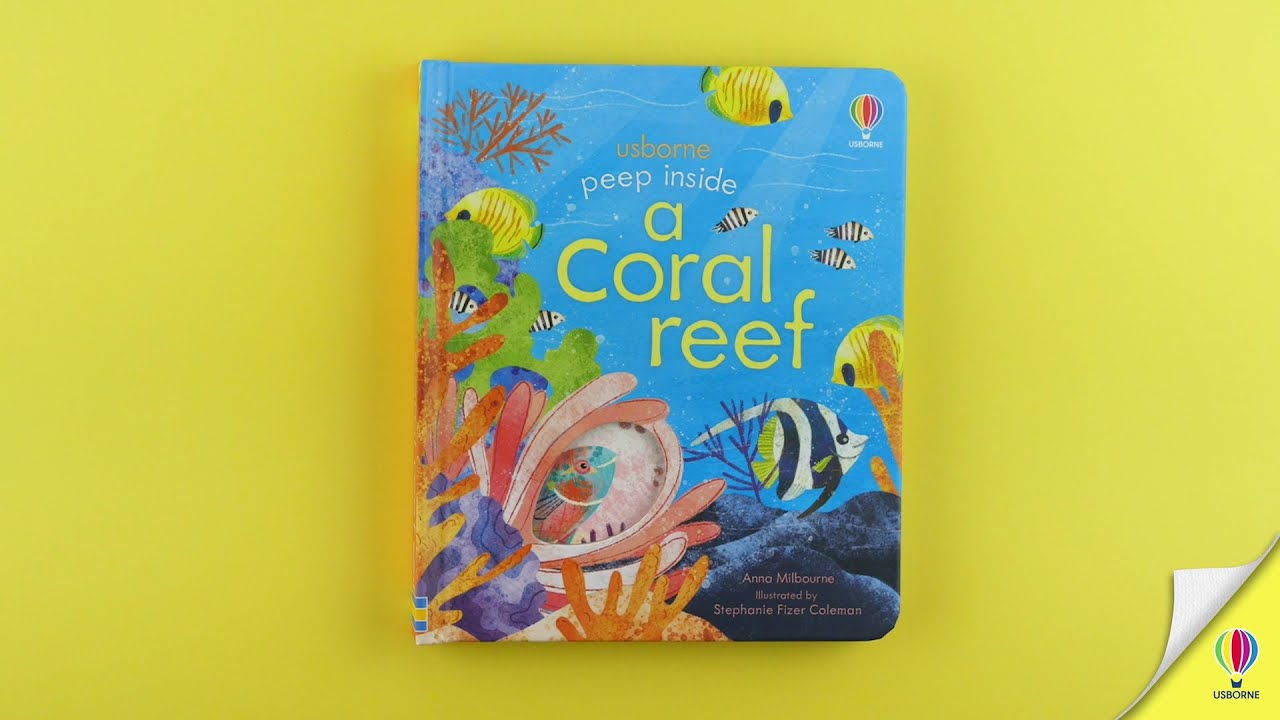 Peep Inside a Coral Reef