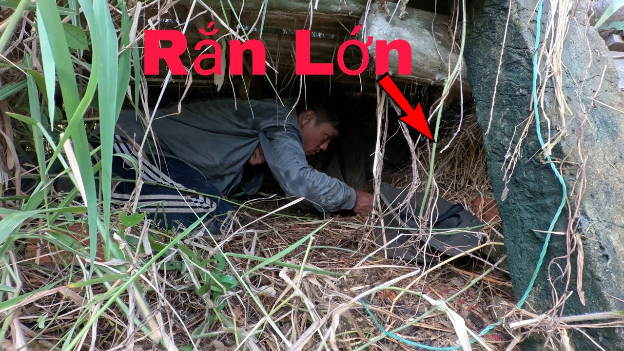 Tìm Con Rắn Lớn|| Tâm Vện Vlog# 19