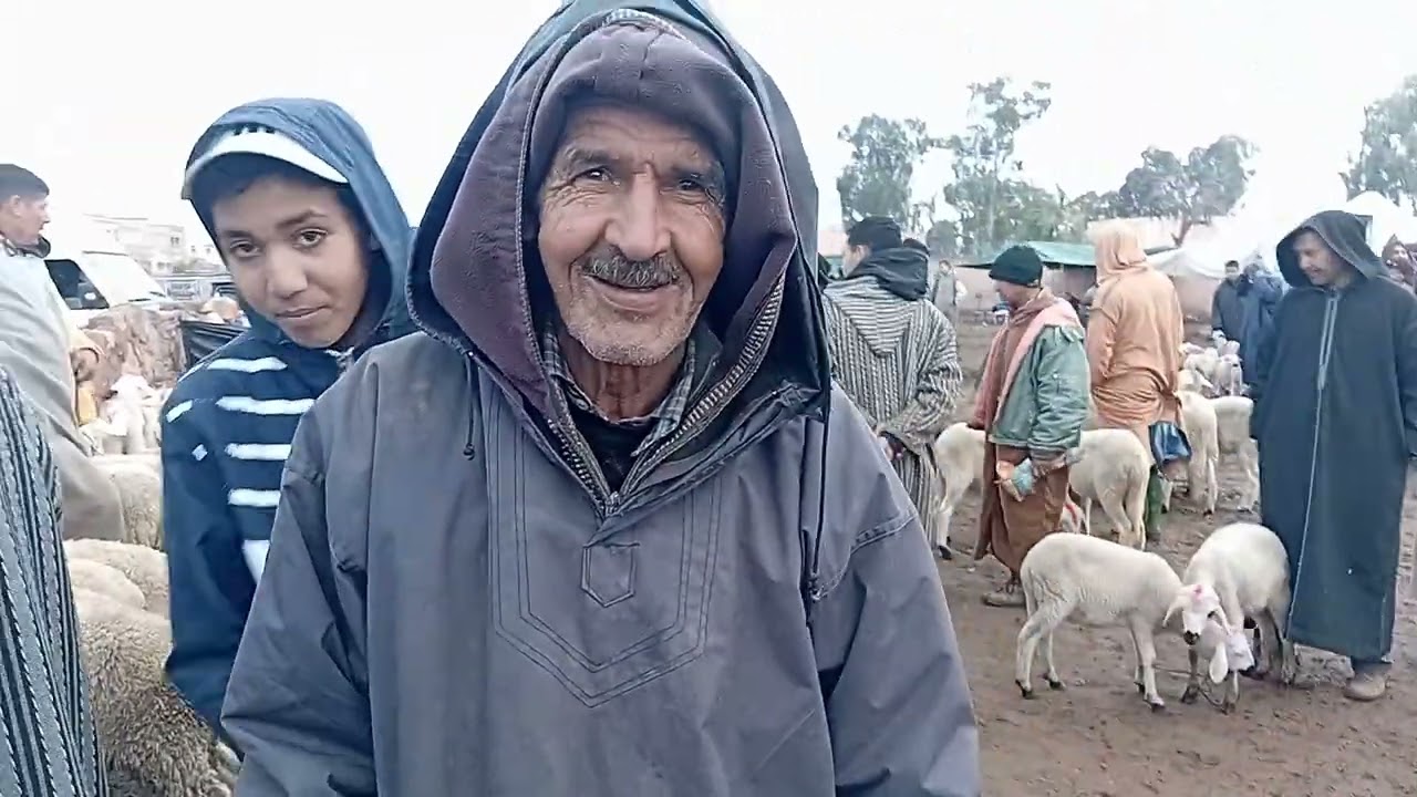 مباشرة من سوق الأسبوعي بني عامر إقليم قلعة السراغنة بتاريخ 14|01|2025|0658373050