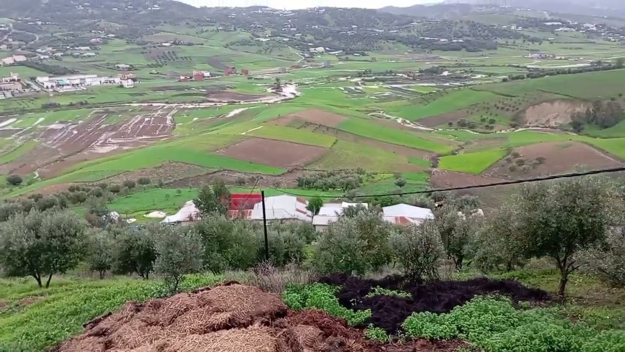 الله على اجواء فهد طبيعة 