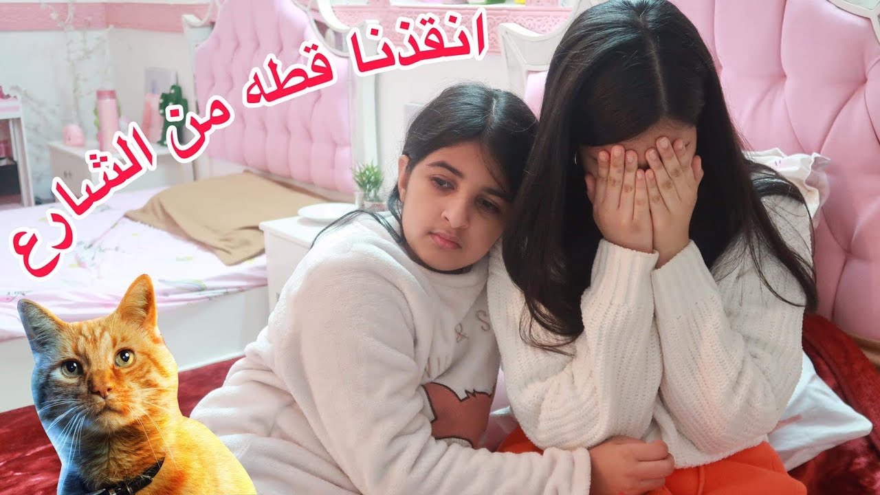 انقذنا قطة من الشارع لكن النهايه حزينه للأسف 😔💔 البنات صاحوا 😭