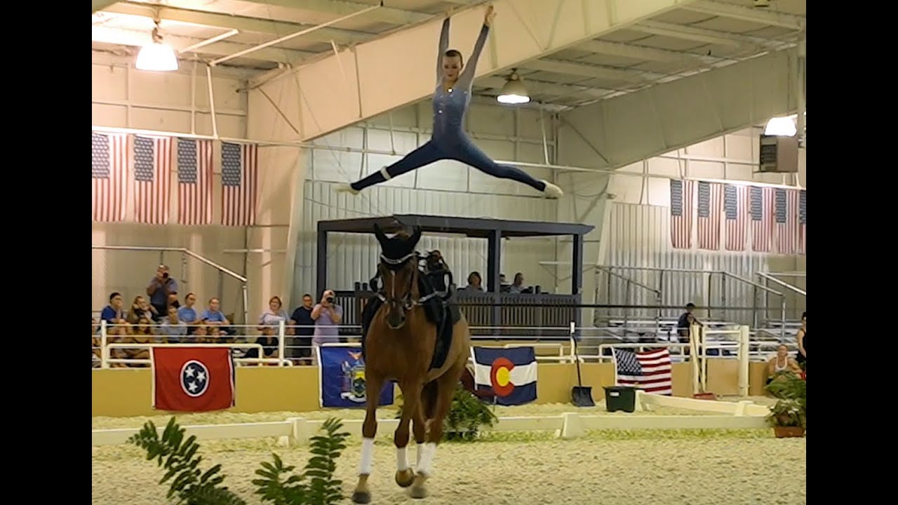 Equestrian Vaulting - A Quick Look