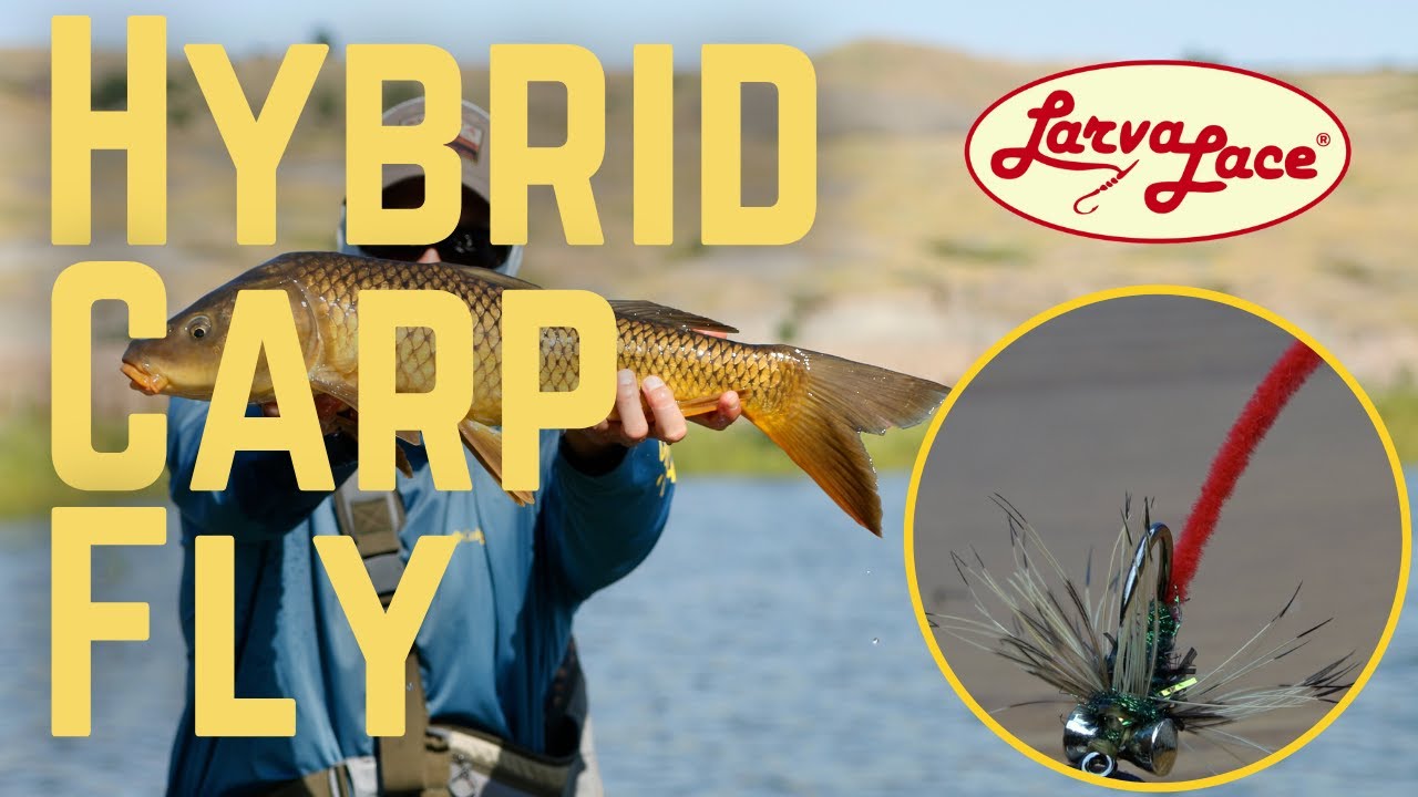 Hybrid Carp Fly Fly Tying Video - Larva Lace - Carp on the Fly / Fly fishing for carp