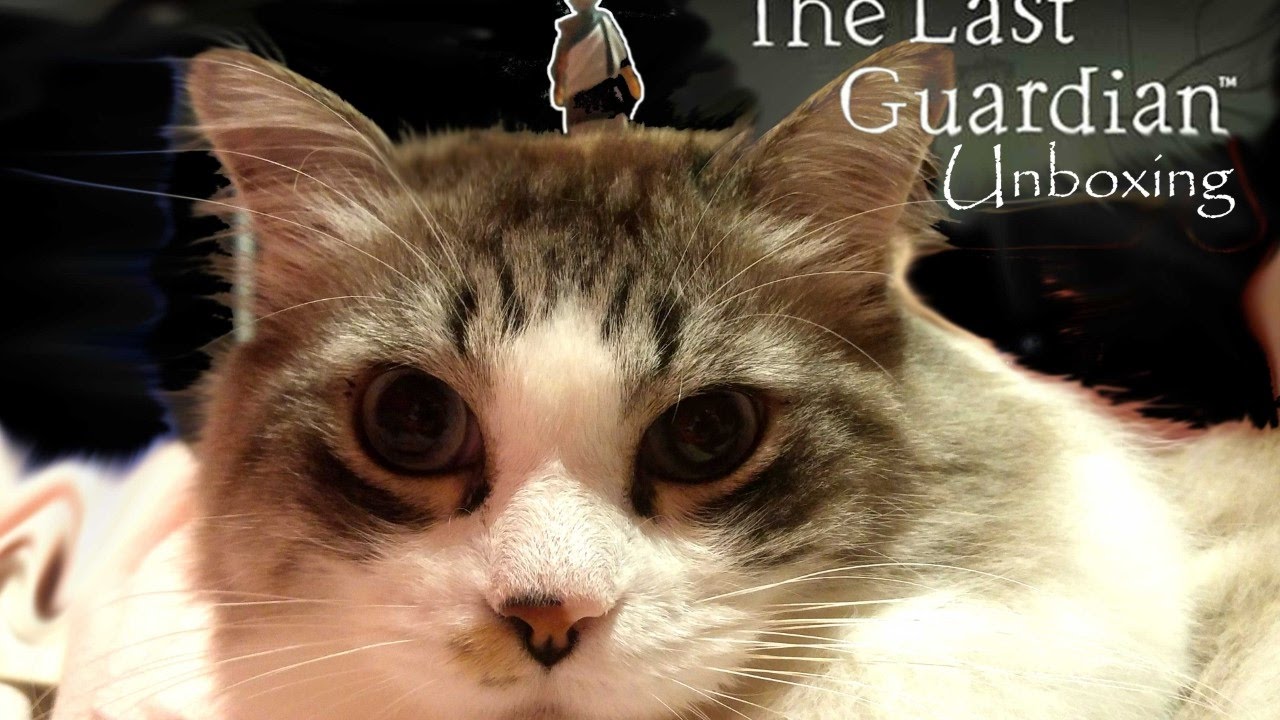 The Last Guardian: Collector's Edition Unboxing
