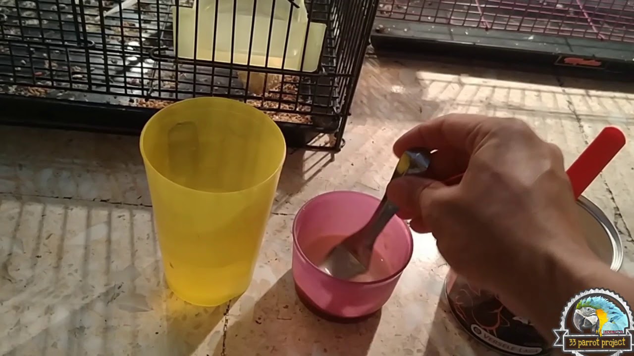 MERAWAT FALK YANG NYILET