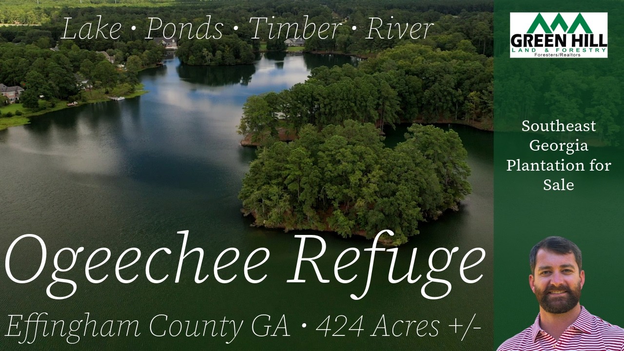 Ogeechee Refuge - 424 Acre River & Lakefront Plantation