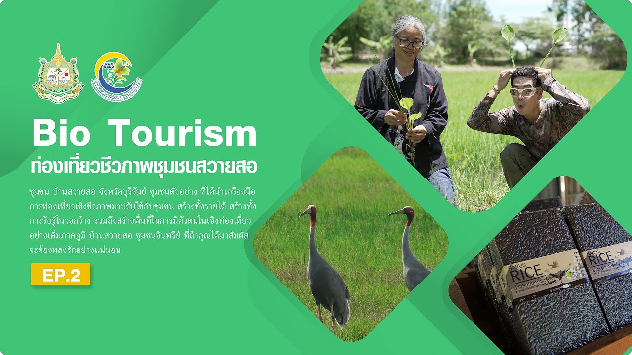 Ep2 : Bio Tourism ท่องเที่ยวชีวภาพชุมชนสวายสอ