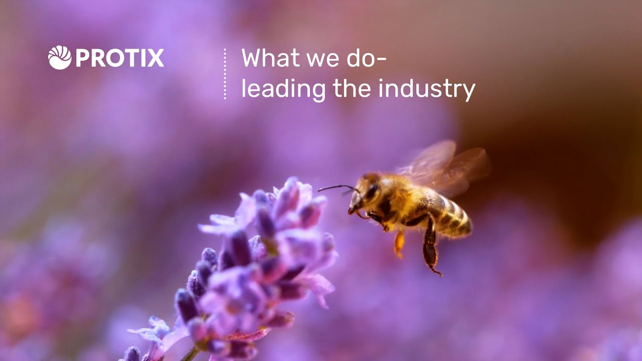 Protix: What we do - Leading the industry