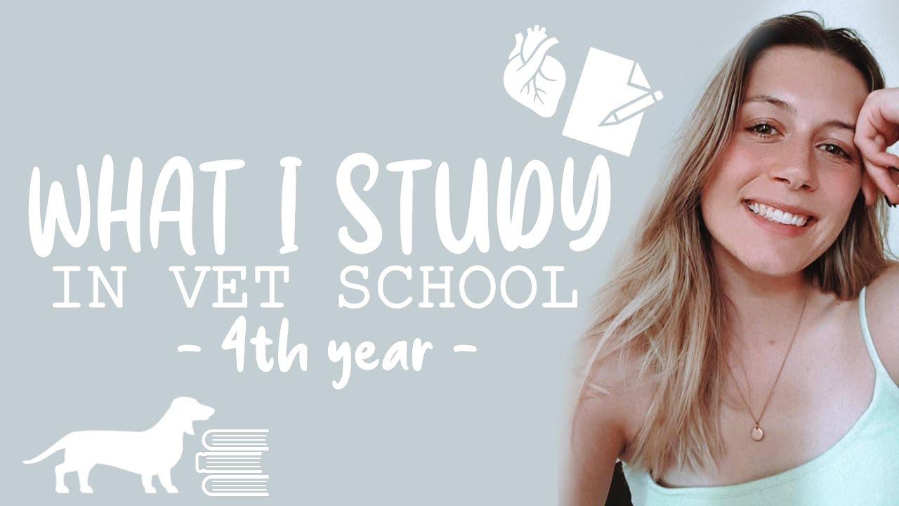WHAT I STUDY in my 4th year of Vet School - The Classes That I Take!