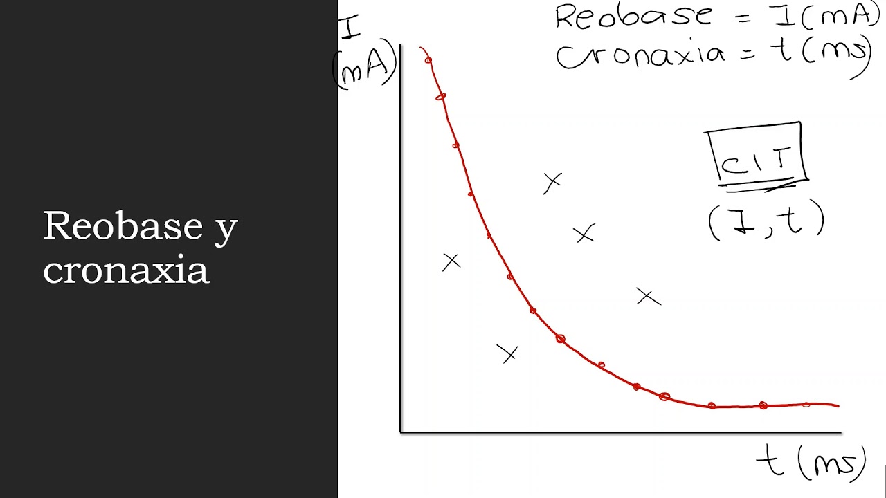 Reobase y cronaxia