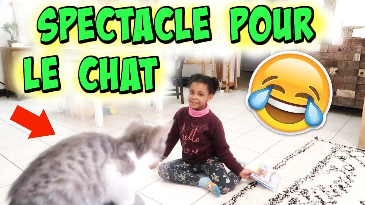 VLOG: UN SPECTACLE DE BIENVENUE POUR LE CHAT !vlog famille maman solo