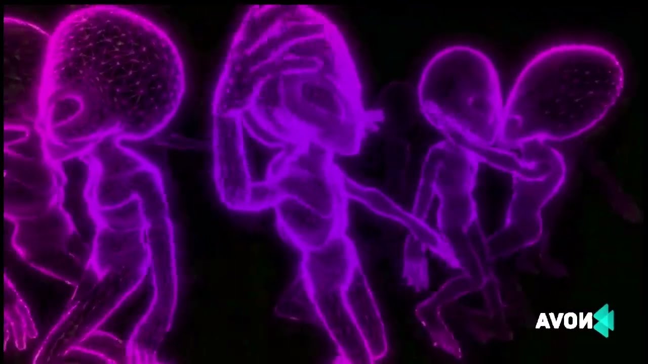 Nova / Groove Techno / 2025