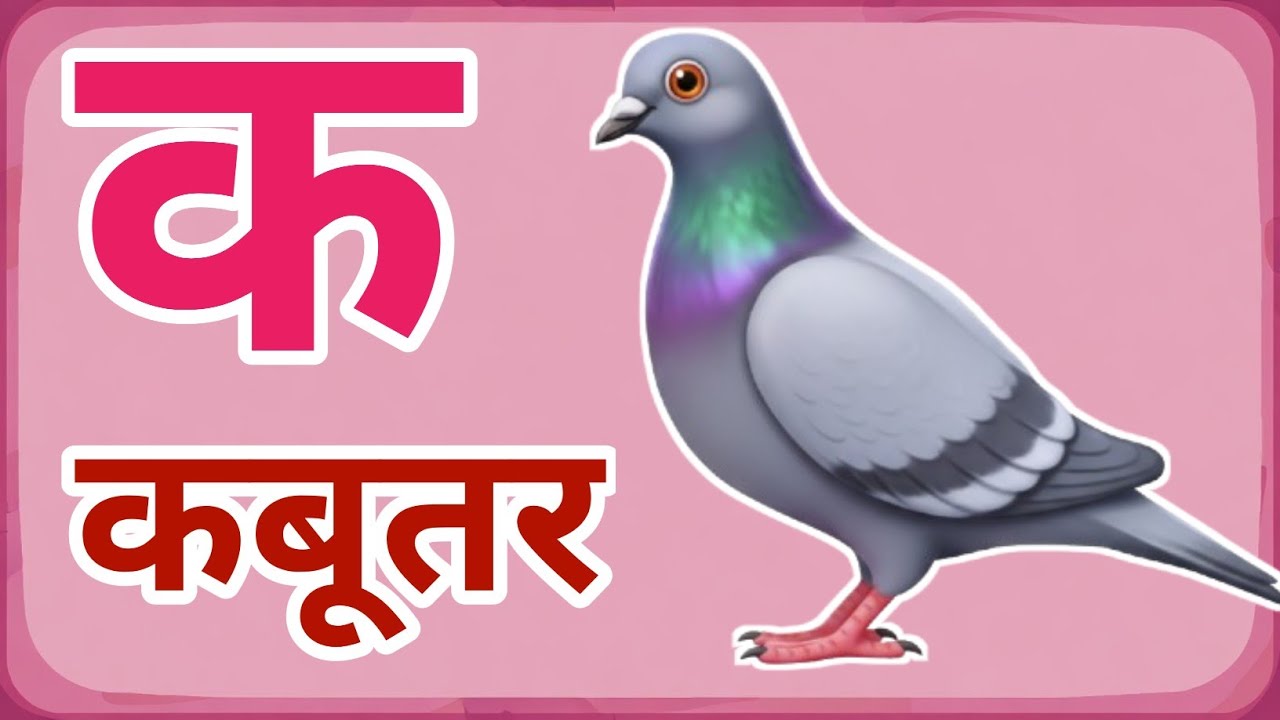 क से कबूतर, अ से अनार a se anaar k se kabutar I Hindi varnmala I ABCD क से कबूतर अ से अनार, for kids
