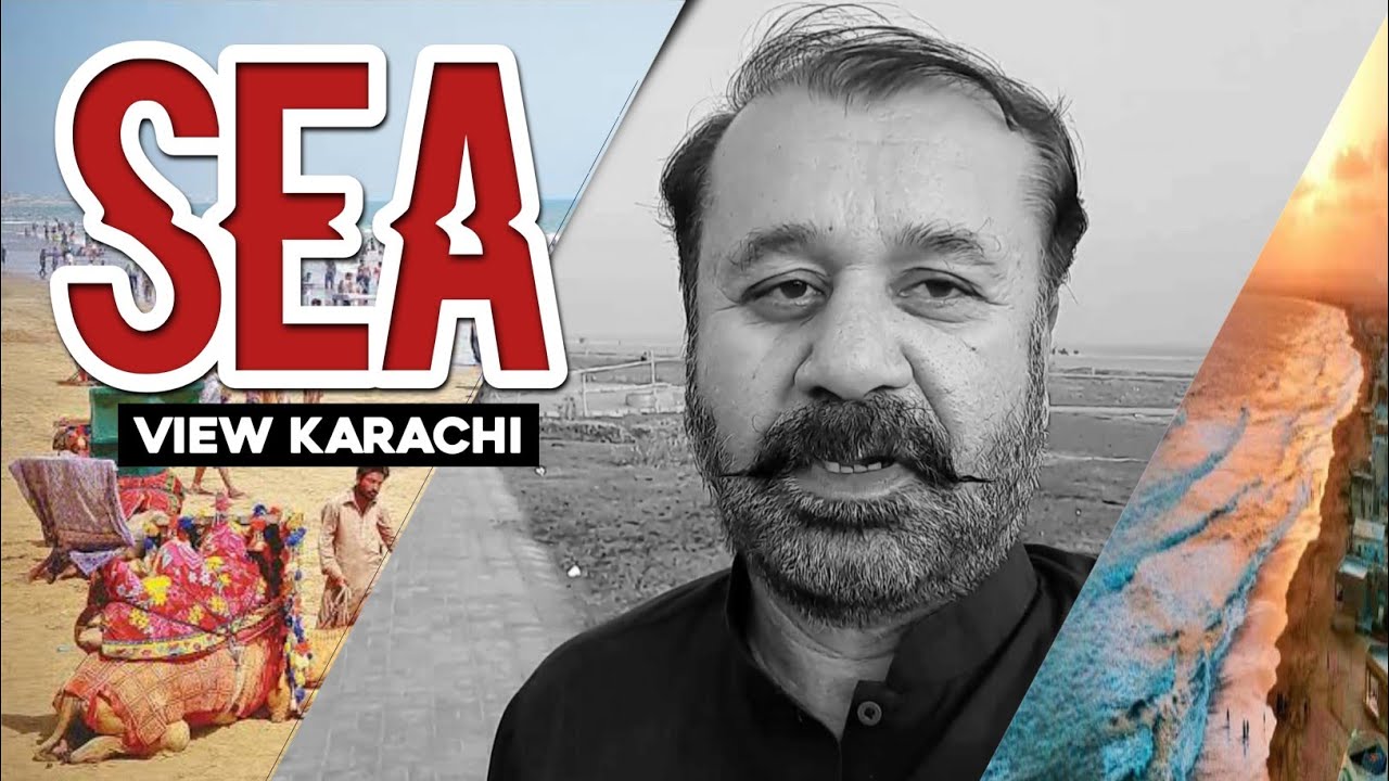 DHA Beach | Grassy lawn on Seaview | beautiful Birds at Karachi Beach