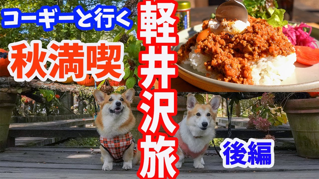 【犬連れ軽井沢】軽井沢タリアセンで秋を満喫！軽井沢コモングラウンズでグルメ堪能！犬にも人にも楽しすぎる場所だった
