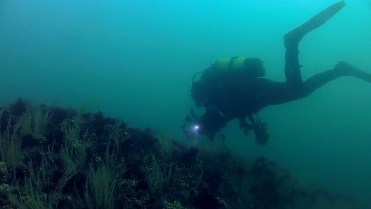 Dive off Firestone Bay, Plymouth, UK