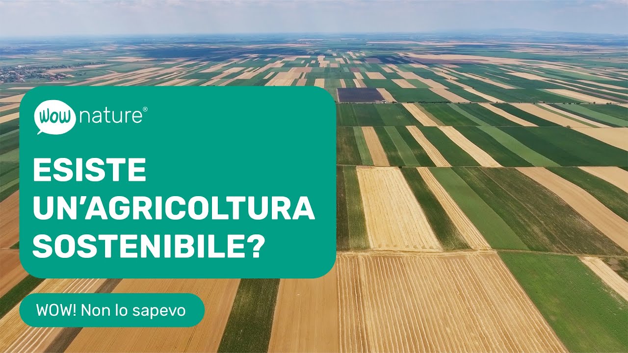 Esiste un'agricoltura SOSTENIBILE? Scopriamo l'AGROFORESTAZIONE