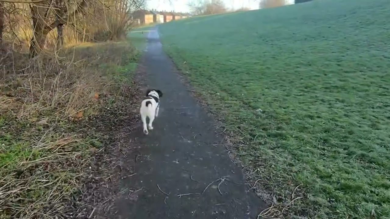 Baileys walk