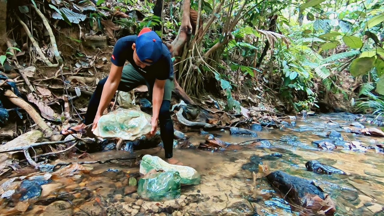 HANYA ORANG BERUNTUNG BISA MENEMUKAN BATU HIJAU KRISTAL DI PEDALAMAN HUTAN INI !