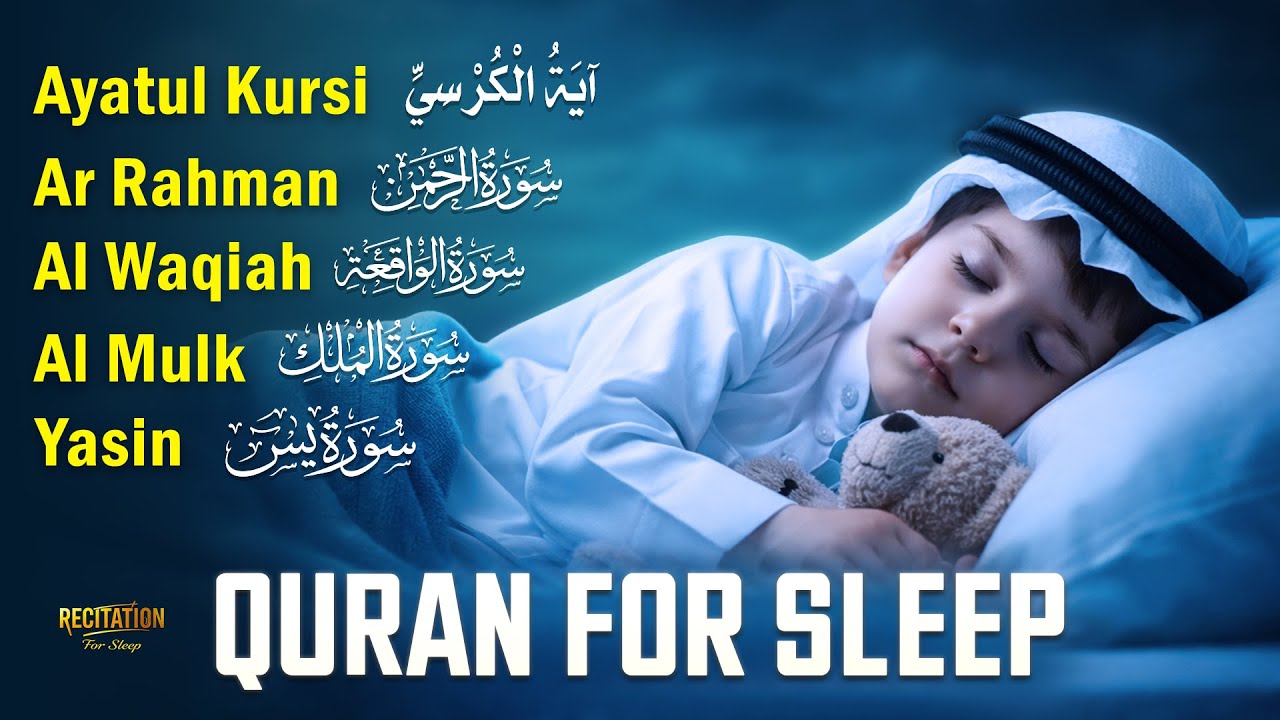 Quran For Sleep Beautiful Tilawat For Relaxing Night Rest | By Alaa Aqel | Recitation For Sleep