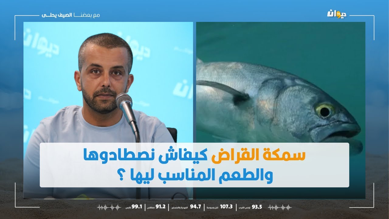 سمكة القراض كيفاش نصطادوها والطعم المناسب ليها ؟