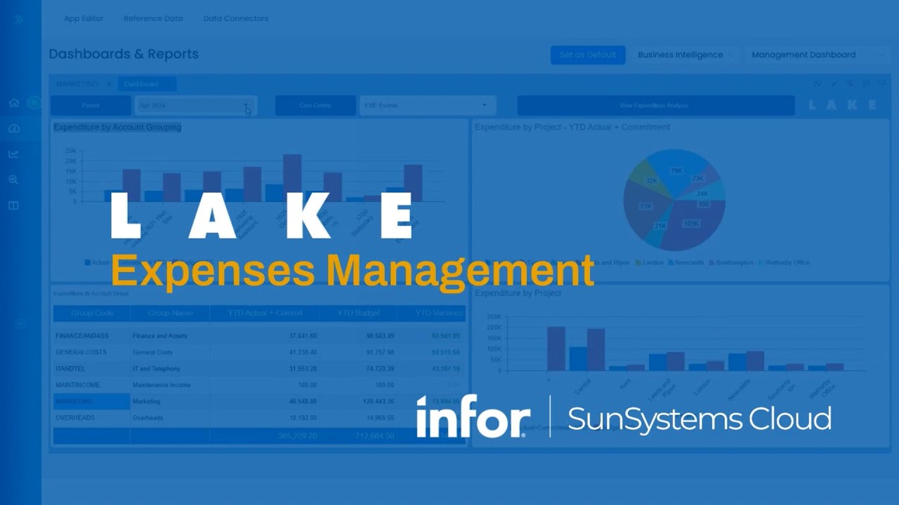 Expenses Management for Infor SunSystems